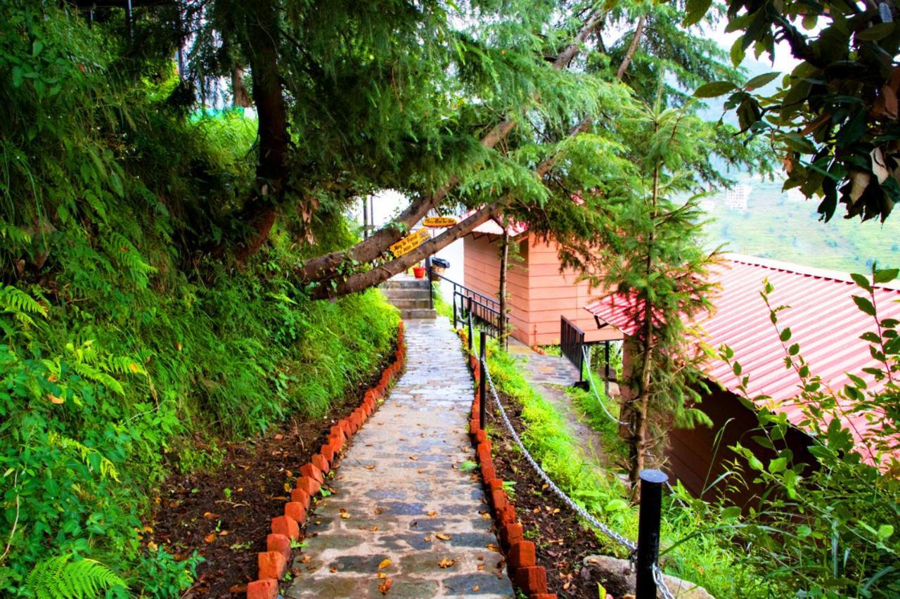 Aamod Resorts Dalhousie ! Luxury Cottage Resort Buitenkant foto