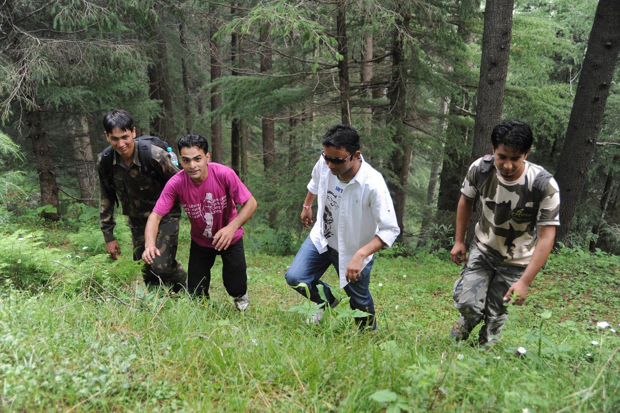 Aamod Resorts Dalhousie ! Luxury Cottage Resort Buitenkant foto