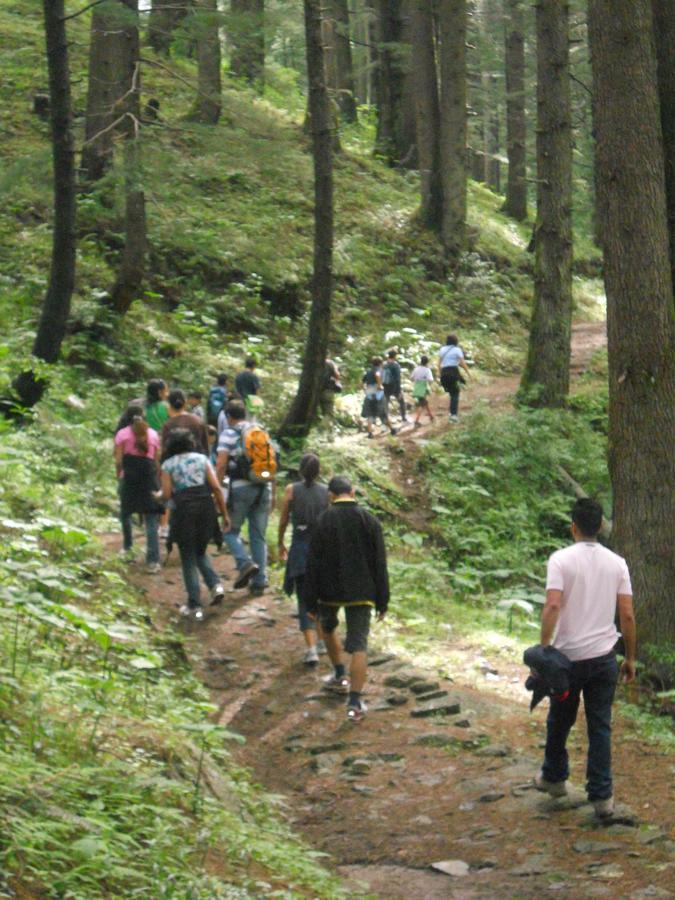 Aamod Resorts Dalhousie ! Luxury Cottage Resort Buitenkant foto